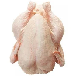 Frozen fresh chicken